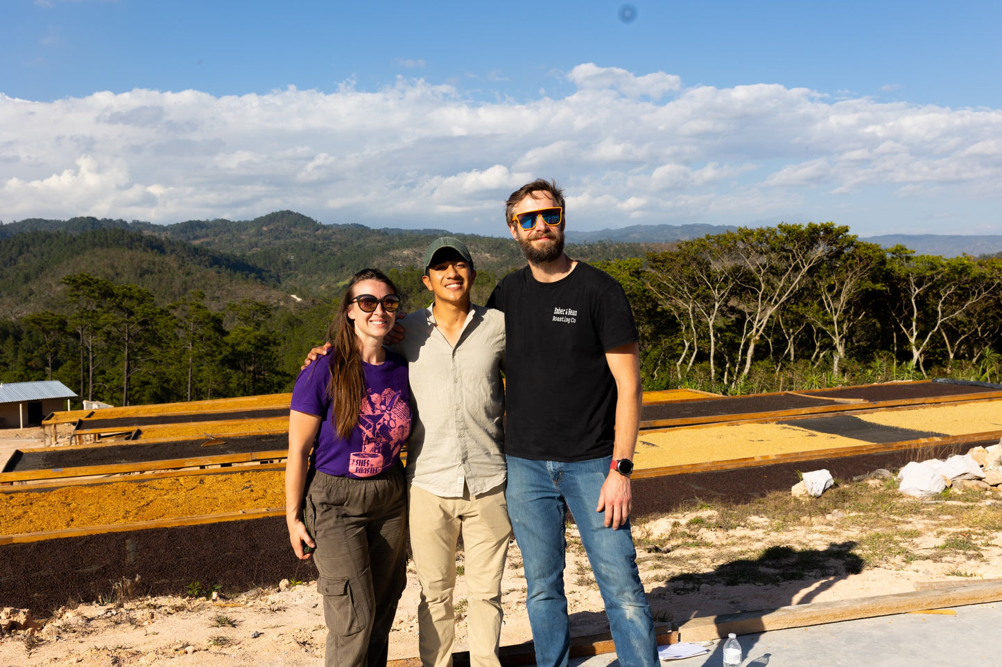 Catuai - Finca la Joya