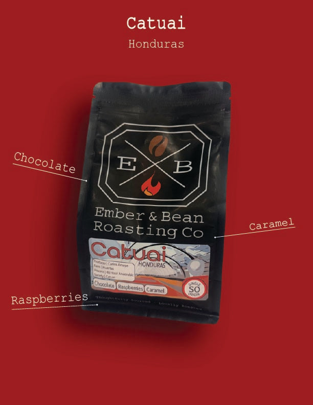 Catuai - Finca la Joya